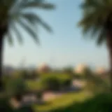 Expansive view of Dubai's lush parks