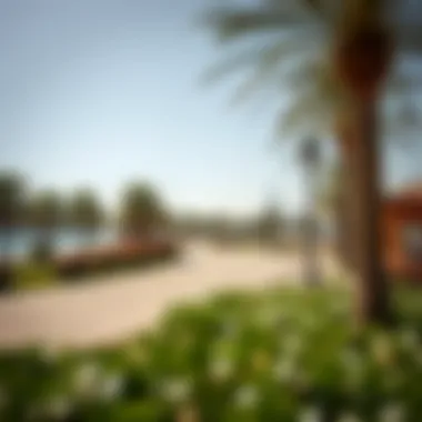 Leisure and Relaxation at Al Manara's Park Scenic park in Al Manara ideal for relaxation and leisure activities