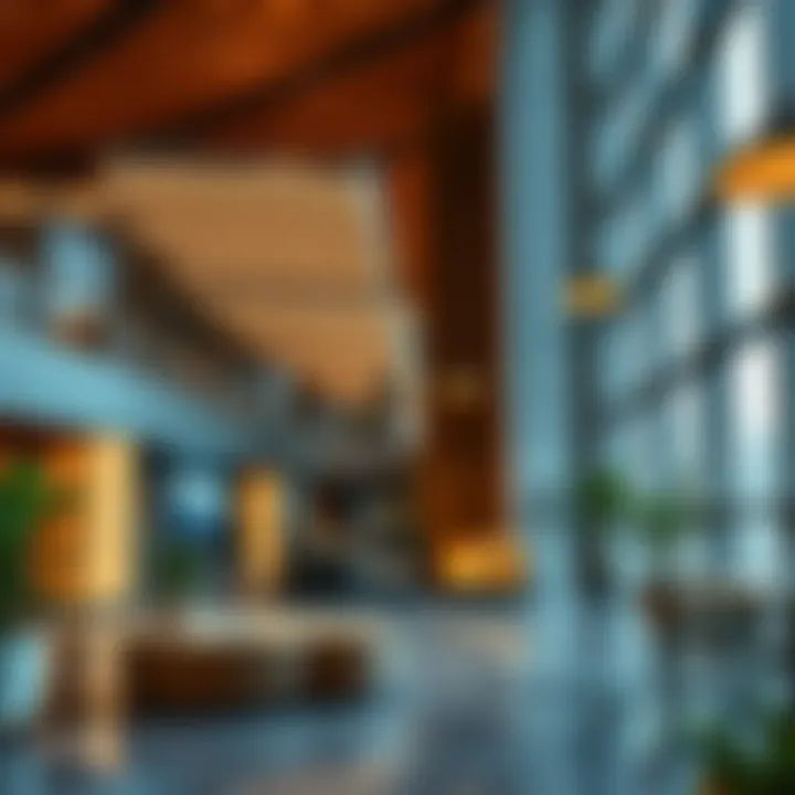 Community spaces and amenities offered in the Elite Tower