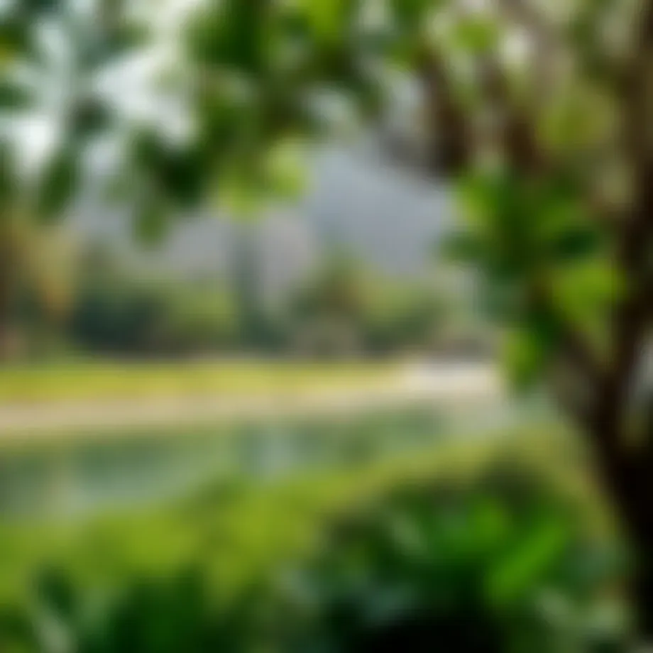 Lush greenery and serene landscapes of Al Barari