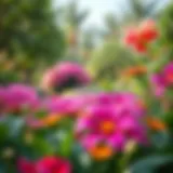 Lush greenery and vibrant flowers in a Dubai park