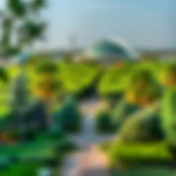 Panoramic view of Mushrif Park showcasing lush greenery