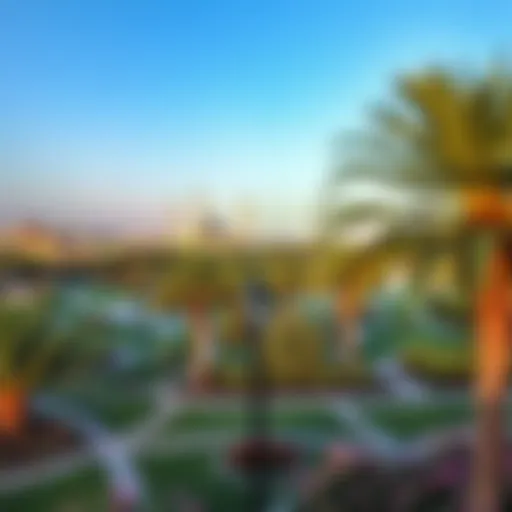 A panoramic view of Mushrif Park showcasing its lush greenery and diverse landscape