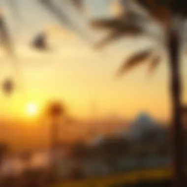 Beautiful sunset view over Mushrif Park's serene landscape