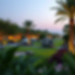 Lush green parks at Damac Hills